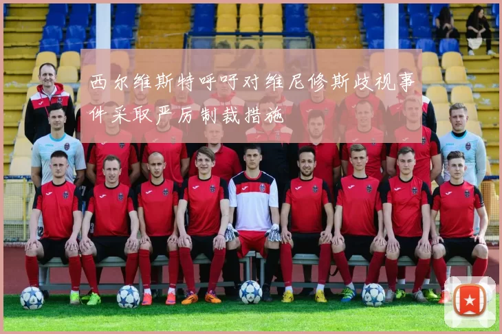 西尔维斯特呼吁对维尼修斯歧视事件采取严厉制裁措施